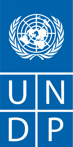 1200px-UNDP logo.svg