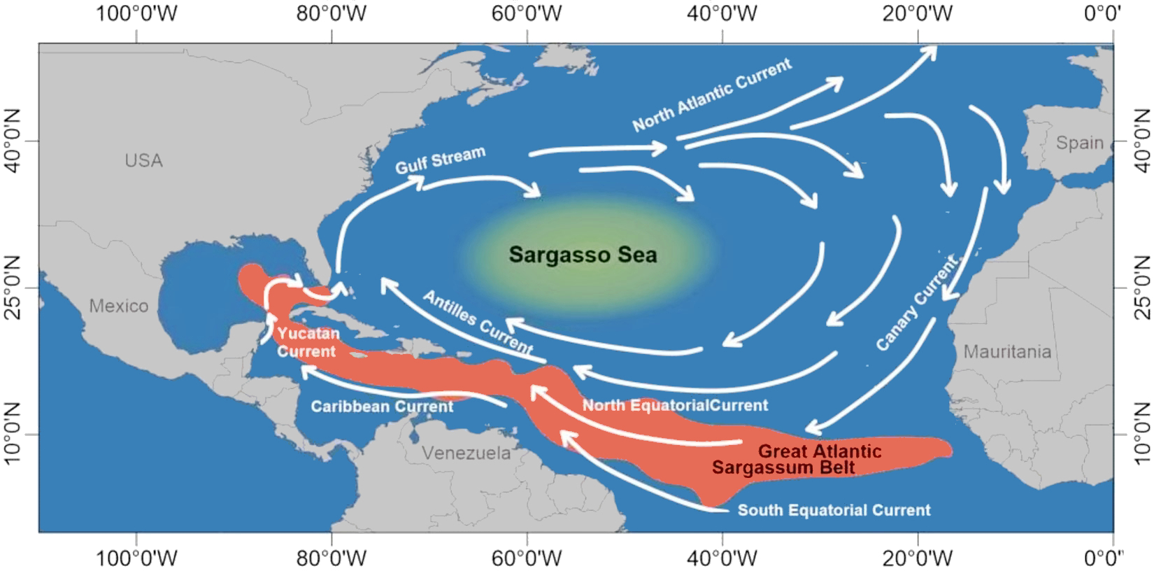 Great Atlantic Sargassum Belt 2