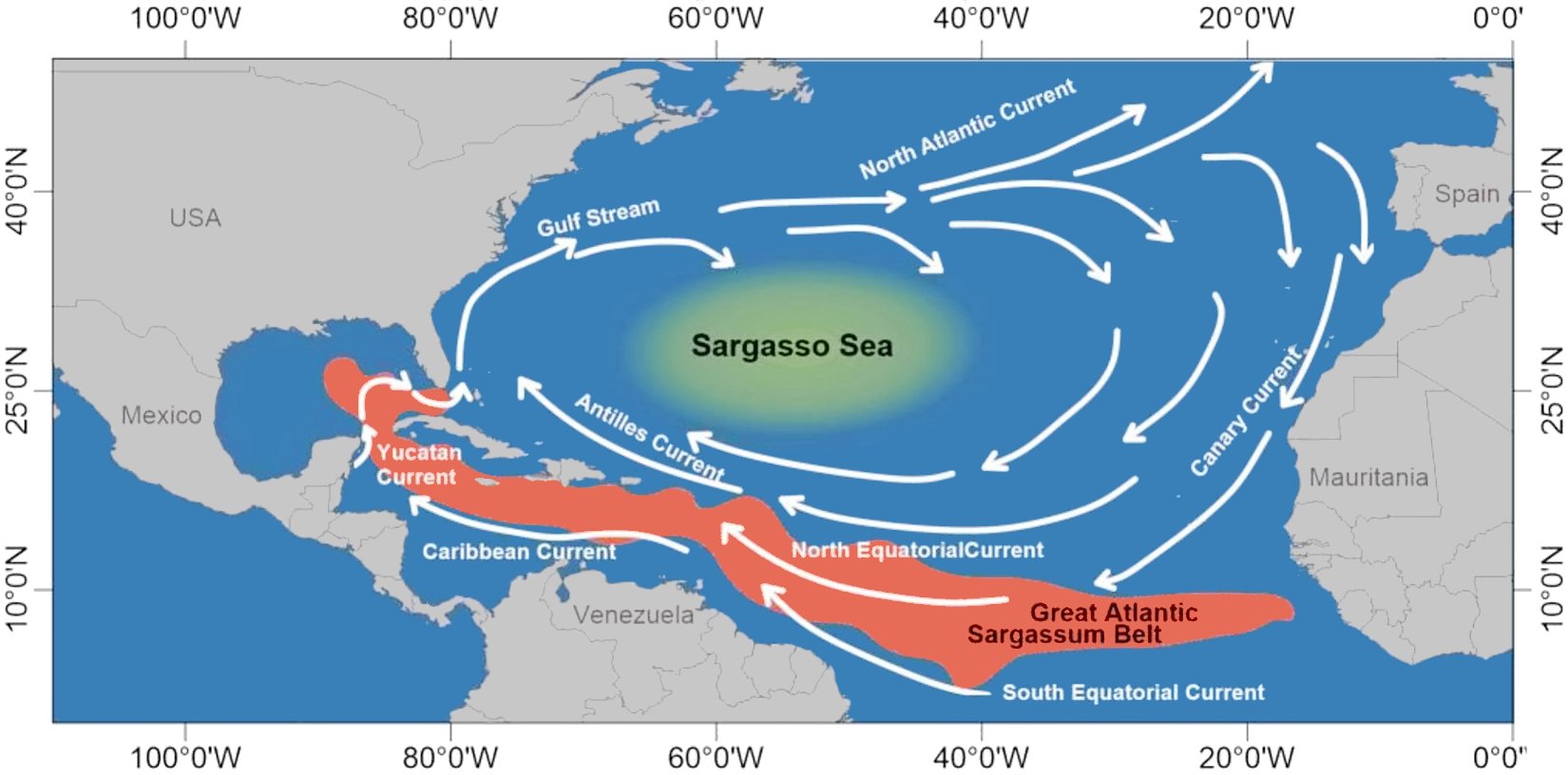 Great Atlantic Sargassum Belt 2