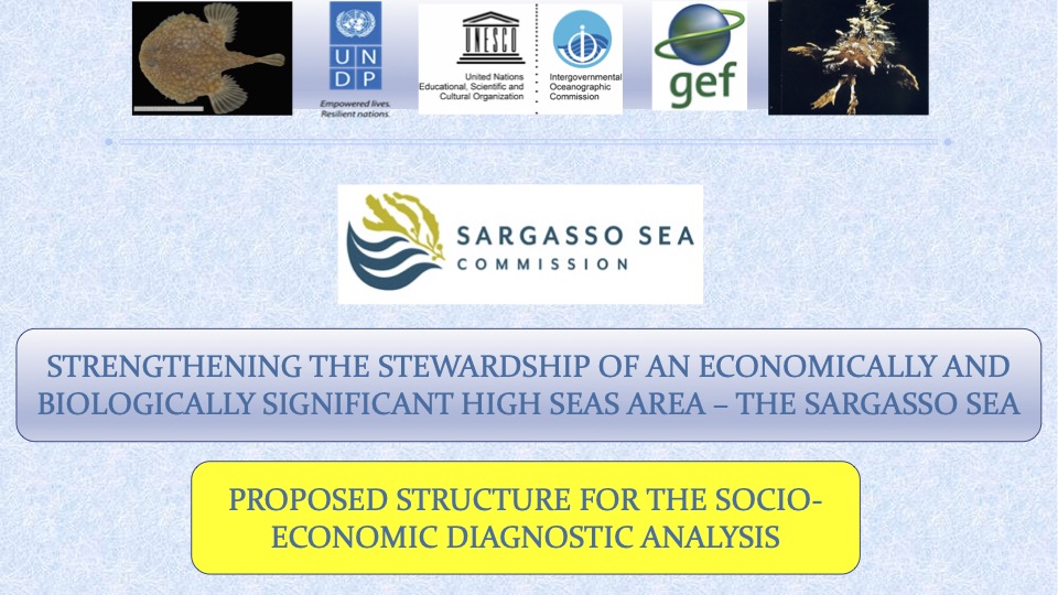 Sargasso Sea EDA Structure230313