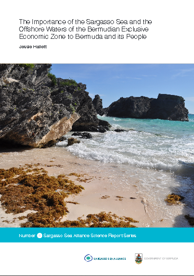 Hallett Bermuda report cover