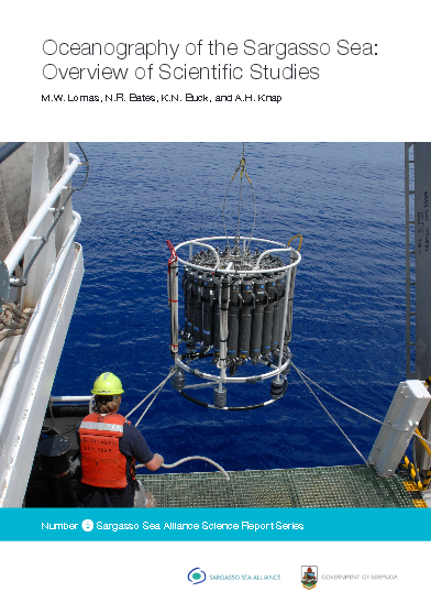 Lomas oceanography report cover