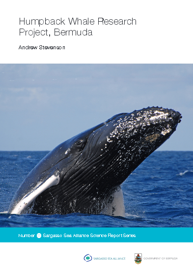 stevenson hummpback whale report cover