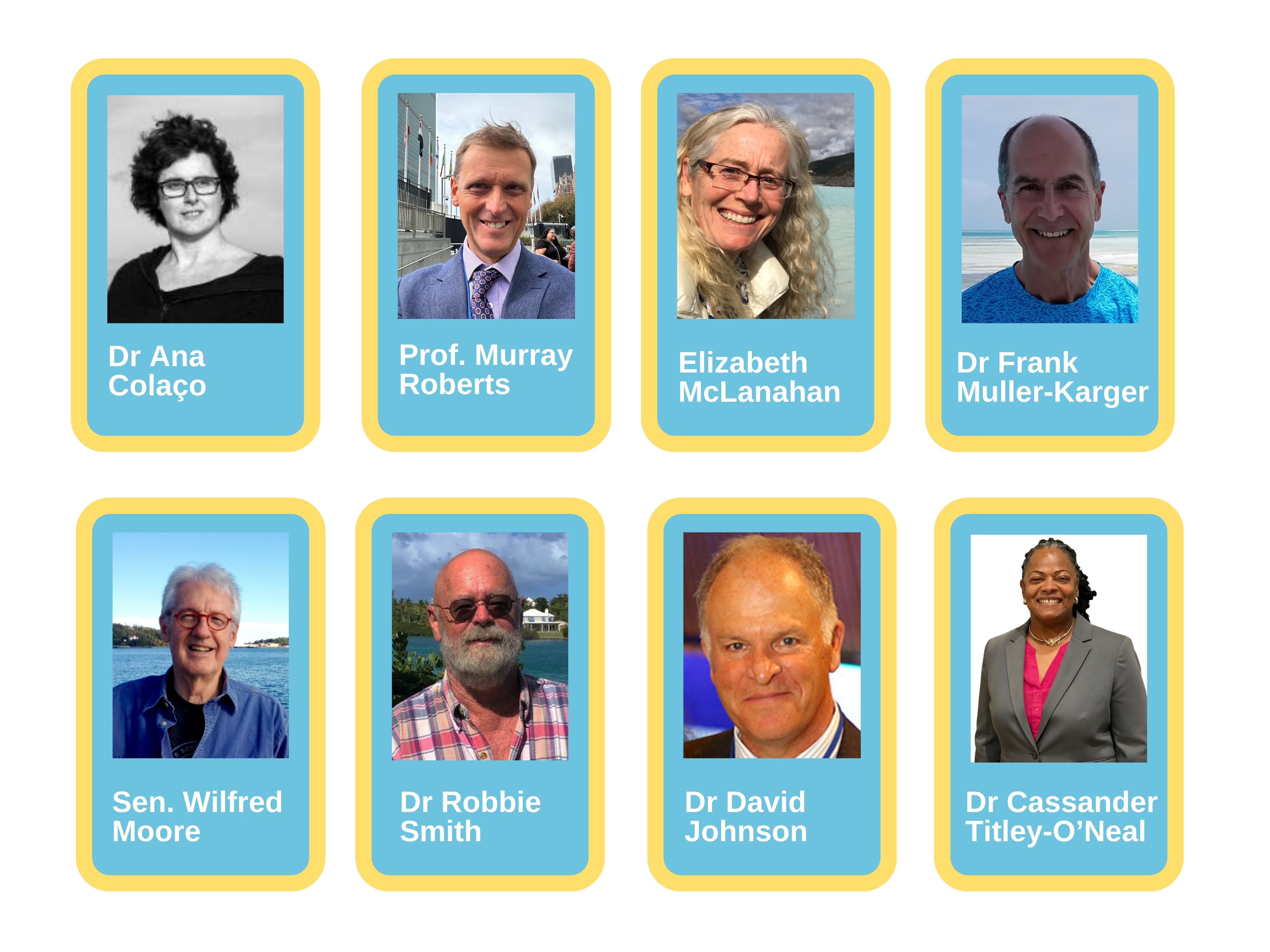 commission nov 2024 final