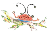 crab