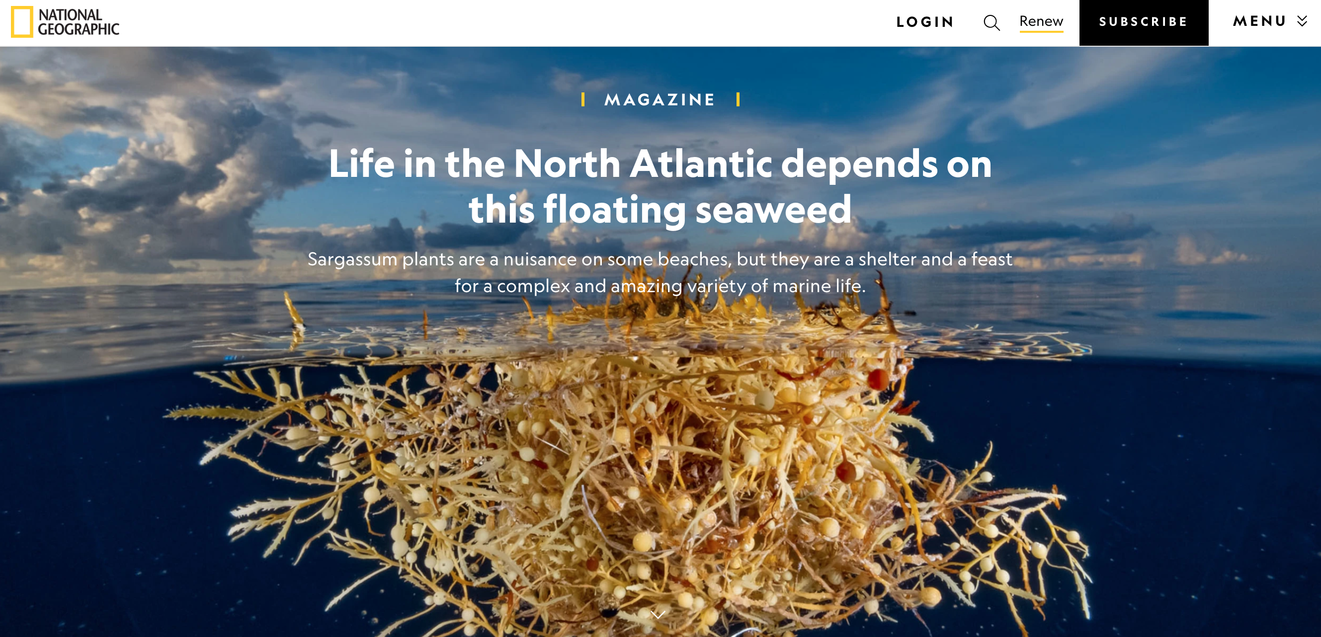 nat geo article james prosek