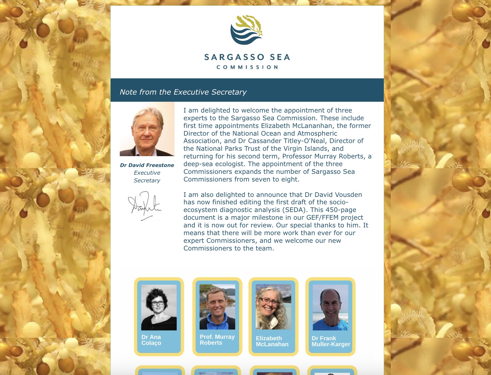 newsletter 3