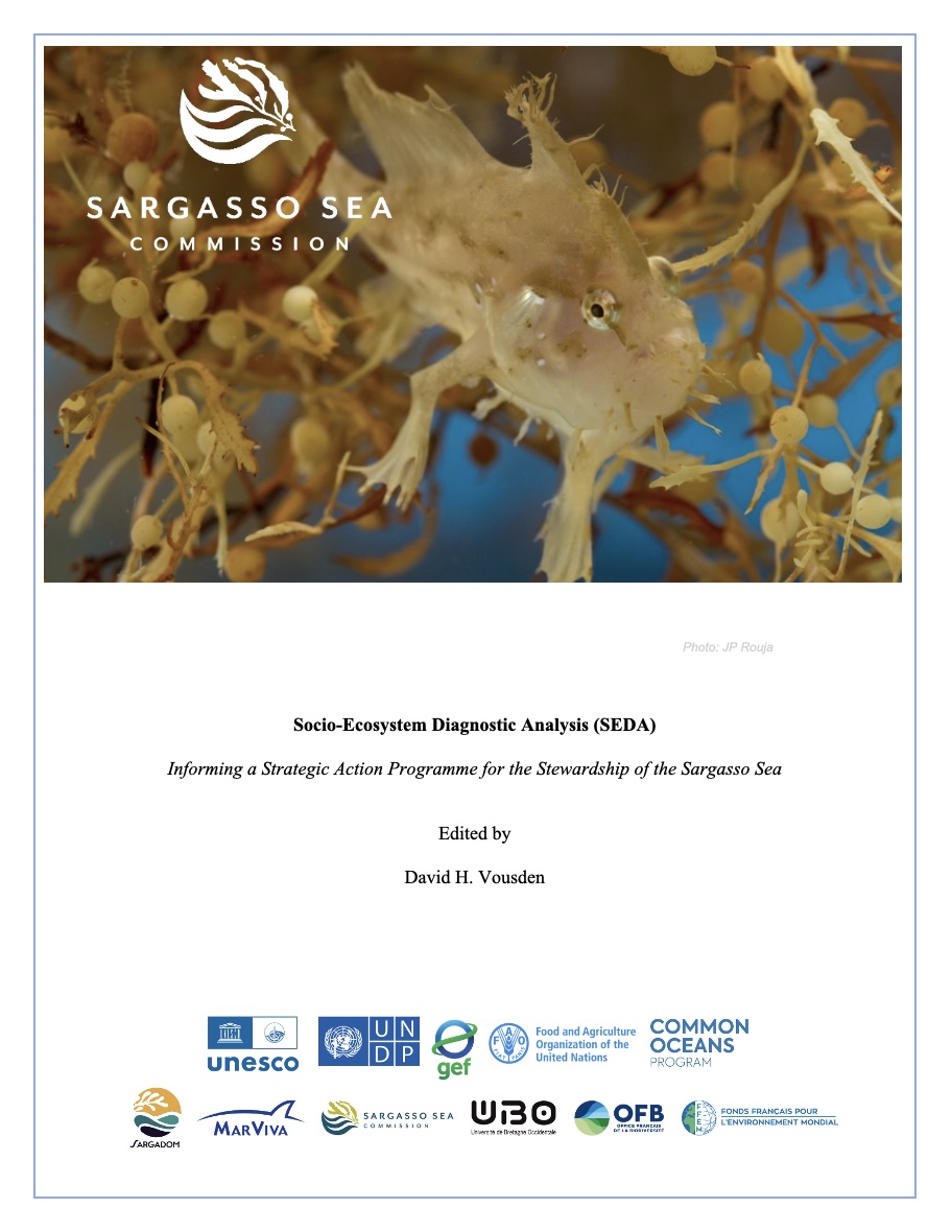 seda cover