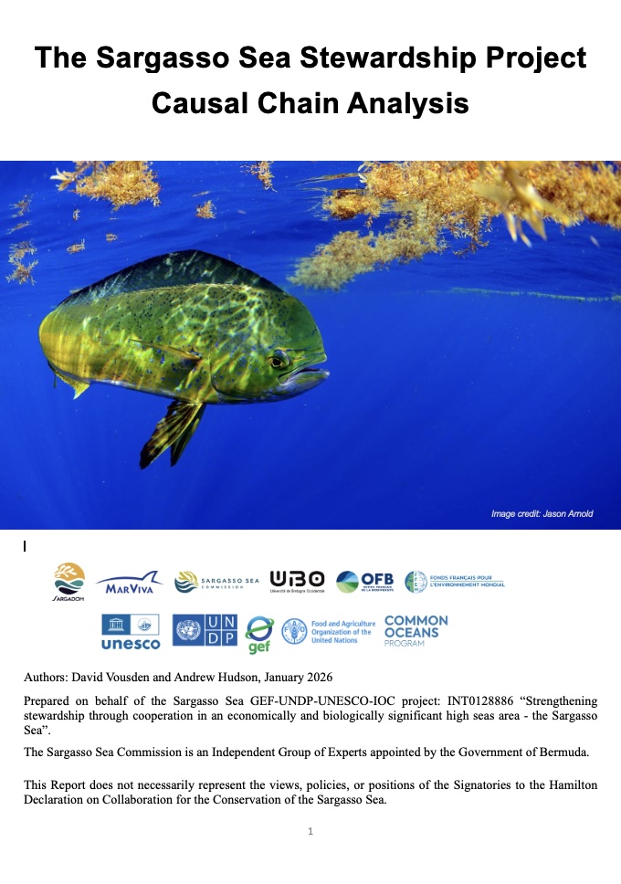 sargasso sea cca
