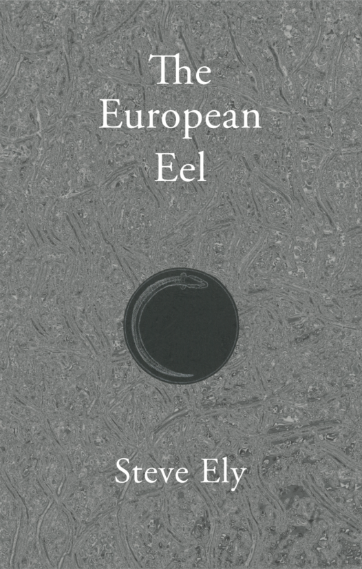the-european-eel-cover 1